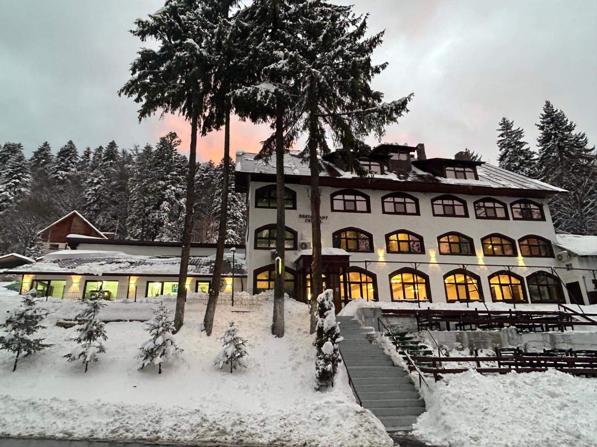 Cerbul Chalet Accommodation & Wellness Risnov Bagian luar foto
